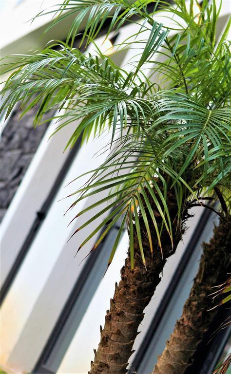 ENGY ESTORIL - Luxury Villas Exterior foto